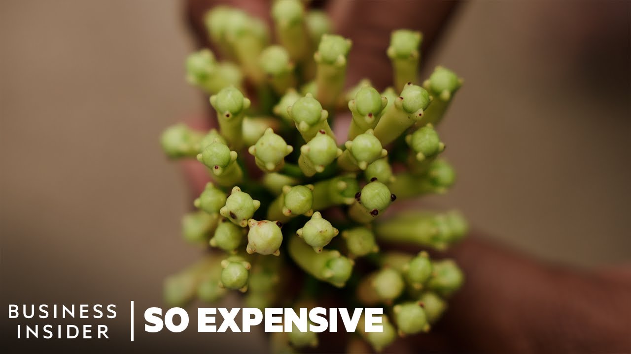 Why Cloves Are So Expensive | So Expensive