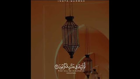 القارئ مزهر المصطاف