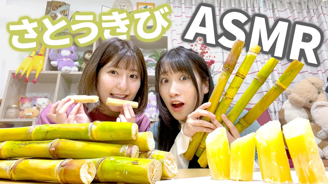 【ASMR】バリバリ音！はじめて