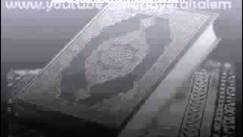 نايف السالم سورة الأحقاف