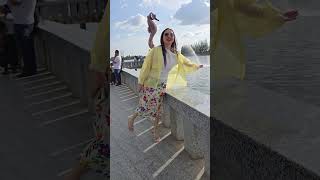 Seahorse cambodia #videome #2026