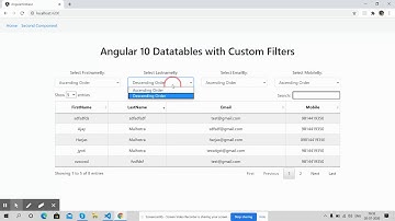 Angular 10 Datatable with Custom Filters