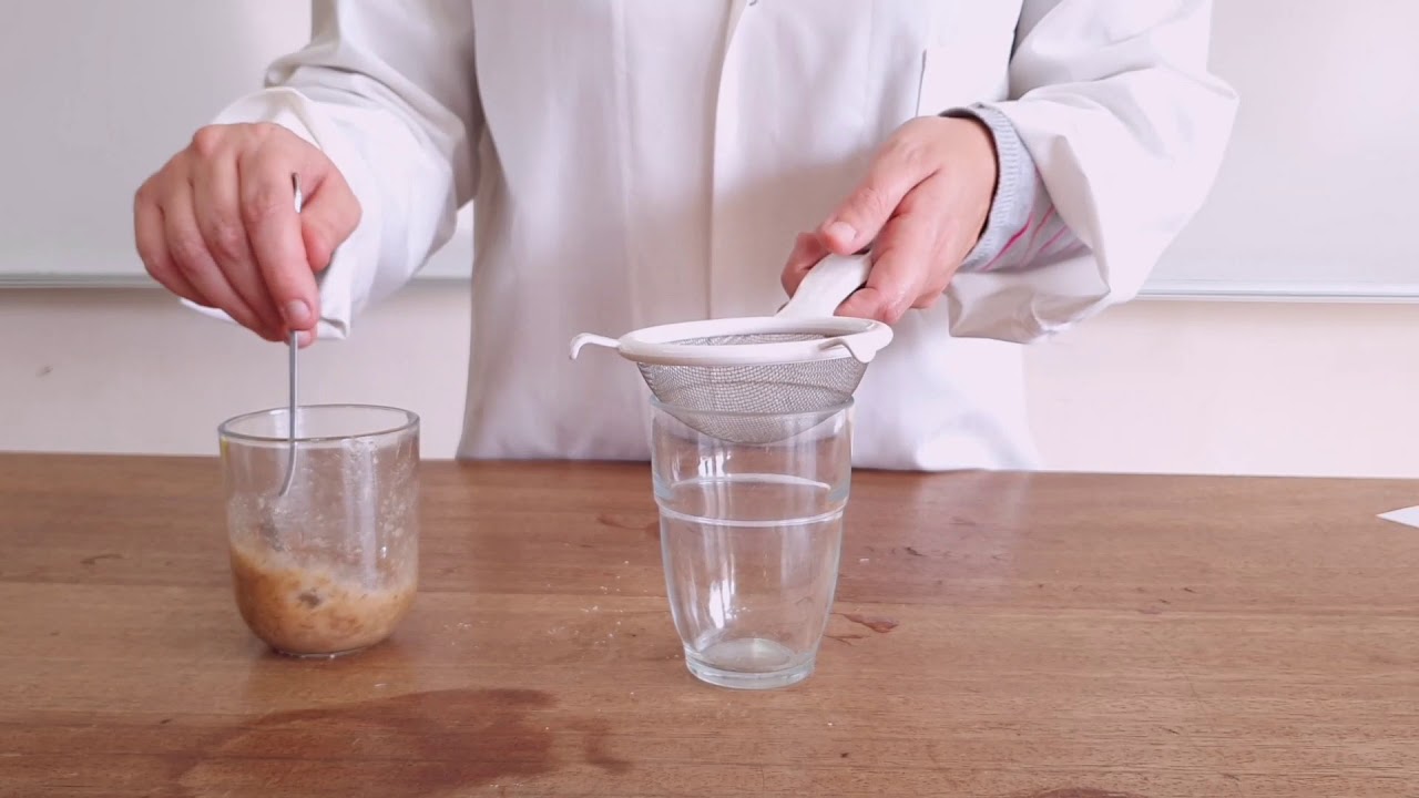 Extraction of DNA from Banana