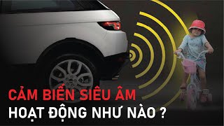 Cảm biến siêu âm ô tô là gì? Cấu tạo và nguyên lý hoạt động và ứng dụng của nó