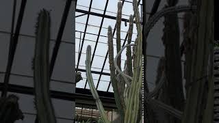 IMG 0217