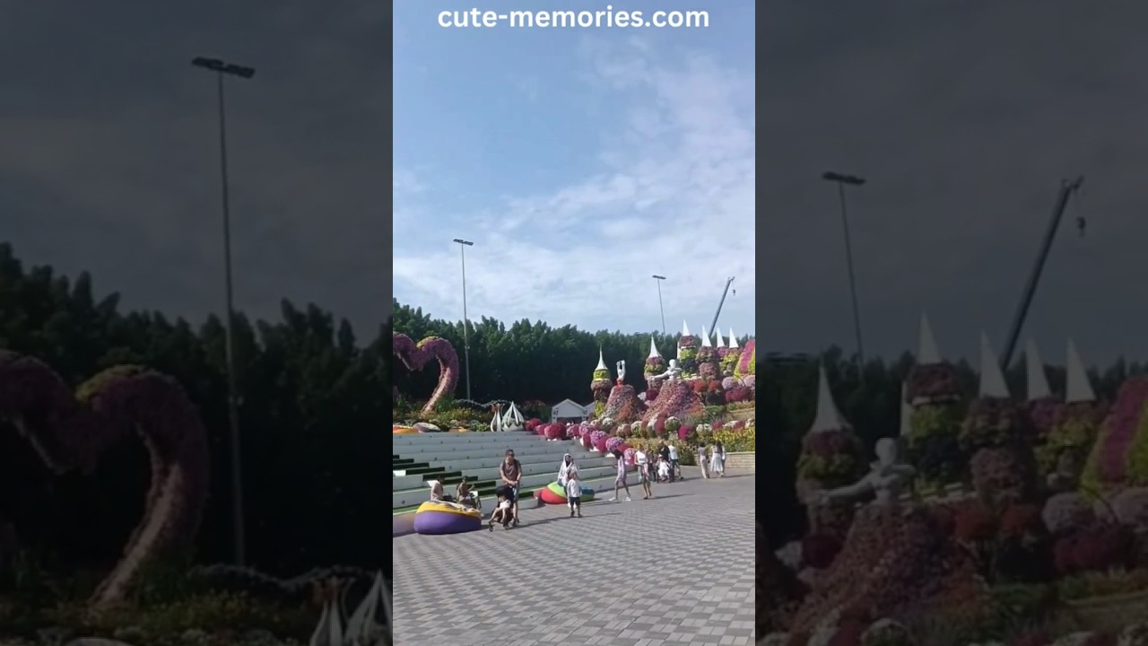 An evening 🌆 in Miracle 🦋 garden  Dubai 🇦🇪