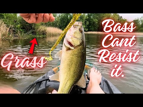 SHALLOW WATER KAYAK BASS FISHING!