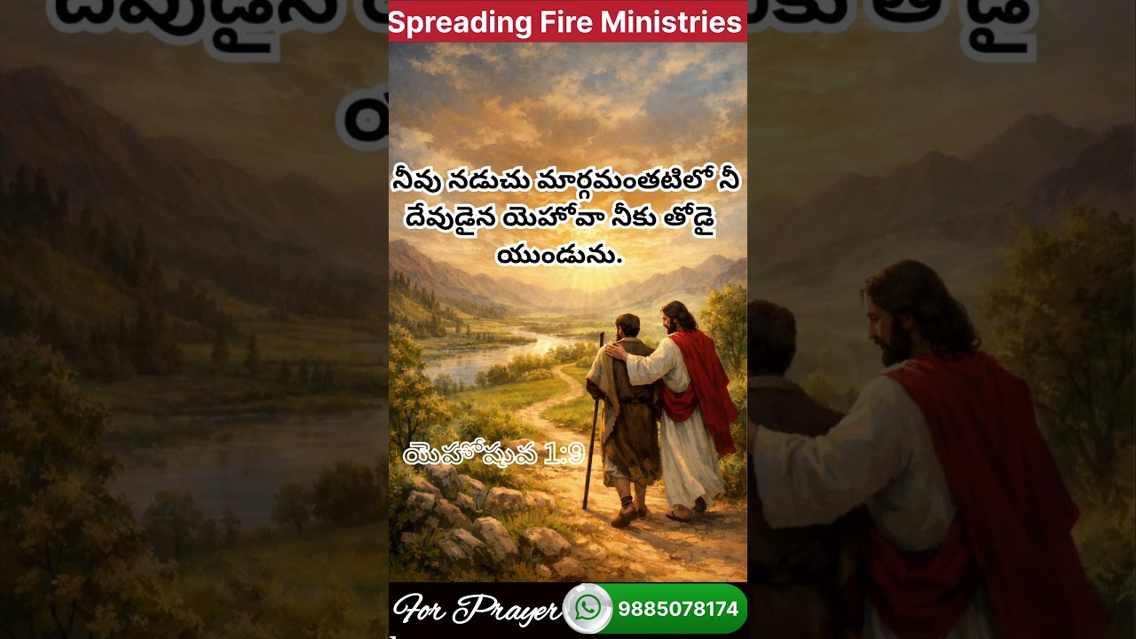 Daily promise | Spreading Fire Ministries 