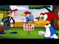 Meany Wants To Sell Her Home Woody Woodpecker 1 Hour Compilation 