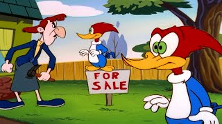 Meany Wants to Sell Her Home!  | Woody Woodpecker