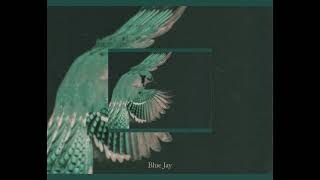 Joel Perez -  Slow Down (bonus track)