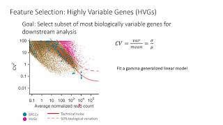 Famous W20: Single Cell RNA-Seq Analysis with Python - Day 2 Profile