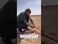 في الصحراء باه ينجح لك التشجير لازم لك نظام السقي بالتقطير 