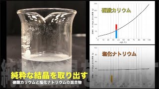 純粋な結晶を取り出す　硝酸カリウムと塩化ナトリウムの混合物