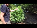 Home Grow 2018 S1|E6