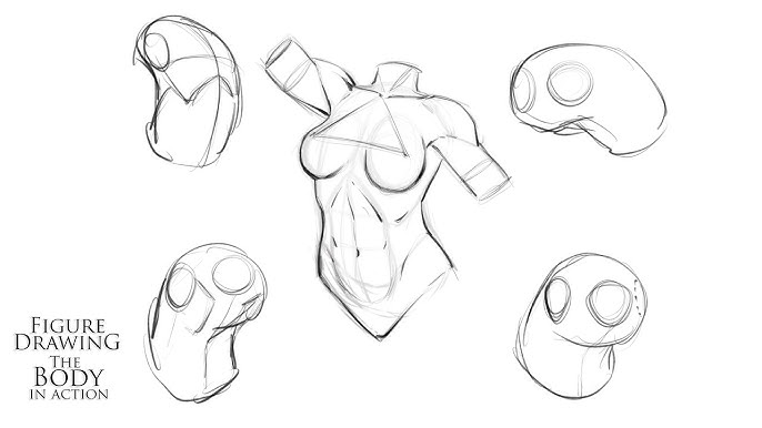 Figure Drawing - Starting with Basic Forms