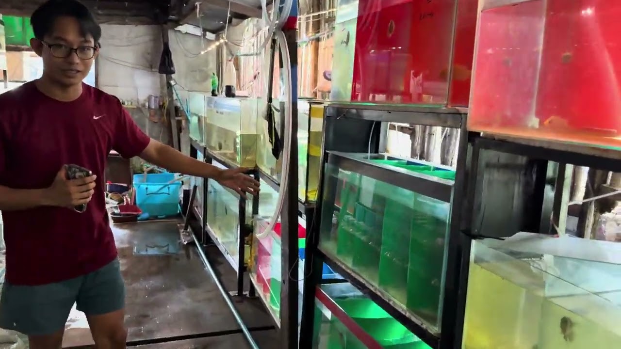 Eddie’s Tanks in Yangon