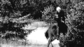 ❤ BONES ~Ginny Blackmore~ HORSE MUSIC VIDEO ❤