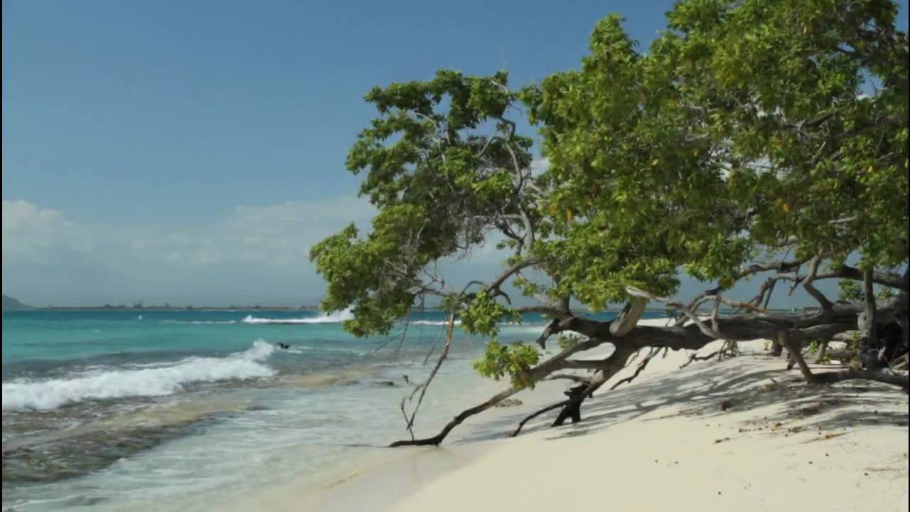 LimeCay Island, Jamaica