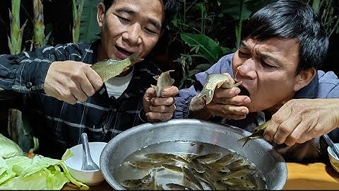 Cắt Cơn Gỏi Cá Chép Nhảy 2 Người Ăn Gần Hết Cả Chậu Cá