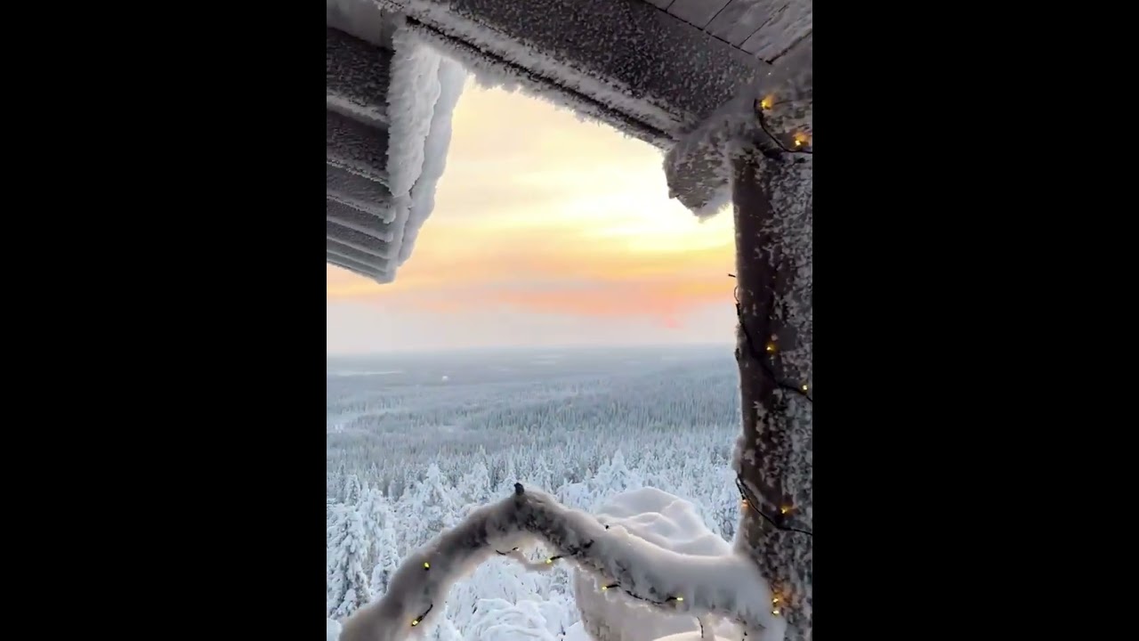 Winter Wonderland: Captivating Beauty of a Snowy Landscape  