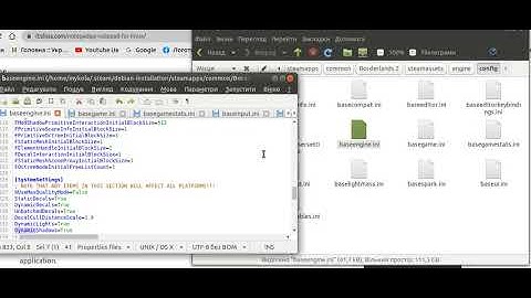 Borderlands 2 WillowEngine.ini in Linux