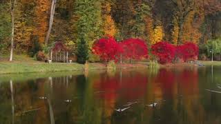 [AS BUMP] Bibio - Odd Lips