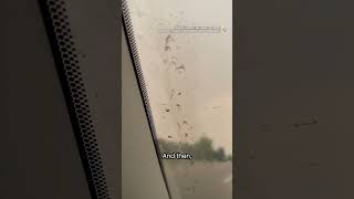 Video shows ash rain falling as Sask. wildfire forces evacuations | #wildfire