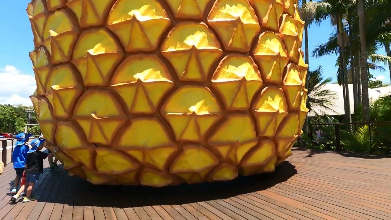 Travel time - Big Pineapple Sunshine coast Australia