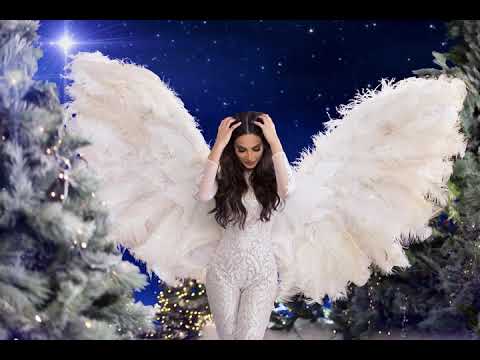       شيراز الدني عيد