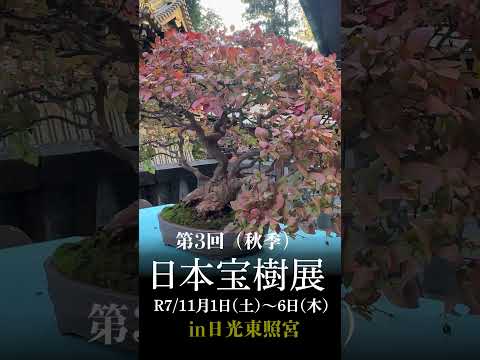 日本宝樹展 - YouTube