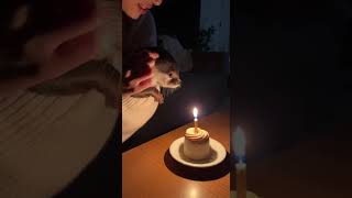 Download Lagu #shorts MP3