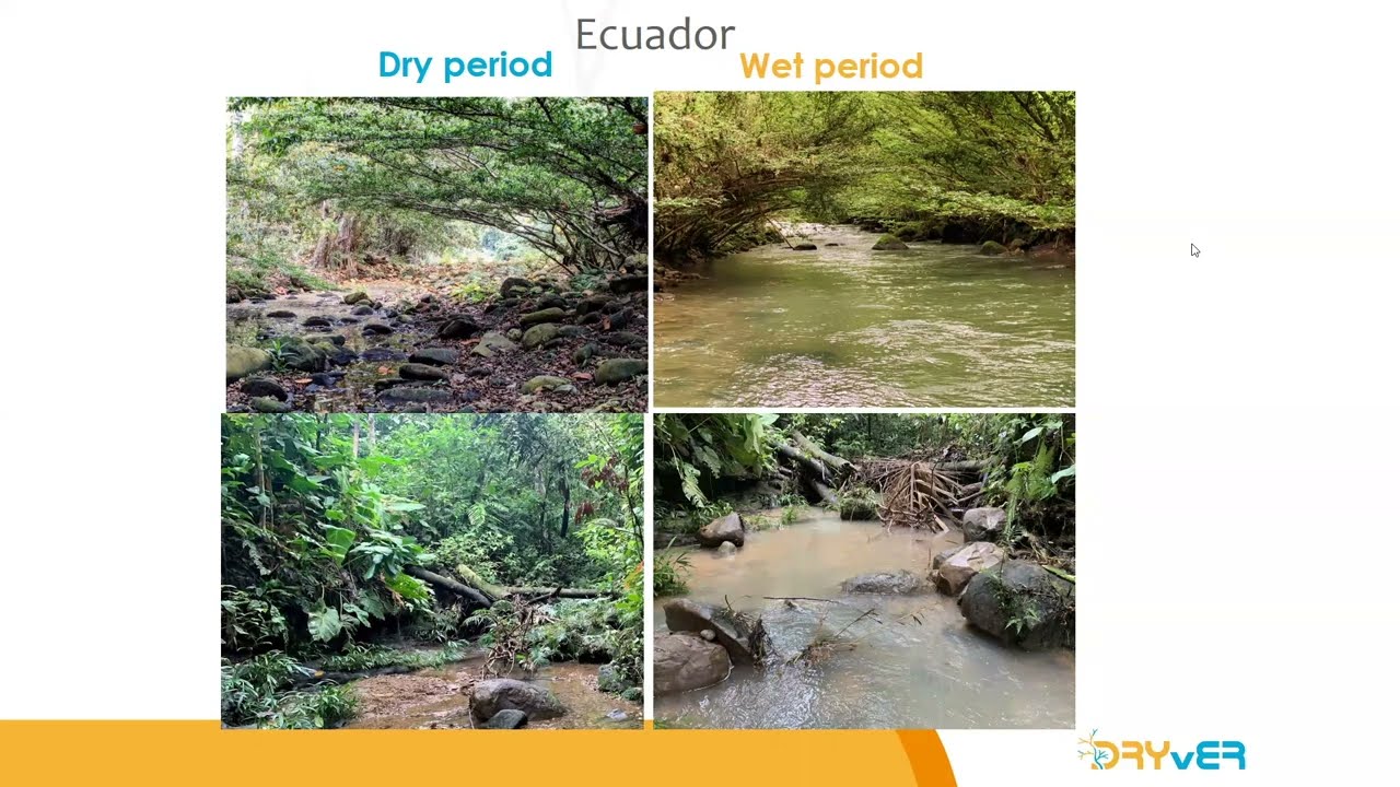 Securing biodiversity, functional integrity & ecosystem services in DRYing rivER networks (DRYvER)