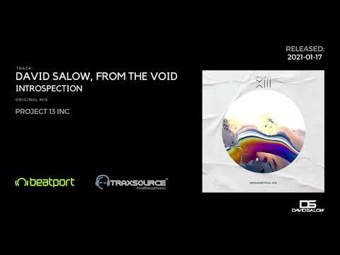 David Salow, From The Void - Introspection (Original Mix)