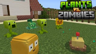 Plants vs Zombies in Minecraft Bedrock | Addon