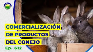 612. Comercialización de productos del conejo