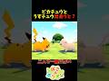 【ぽこあポケモン】うすチュウとピカチュウが出会うと？