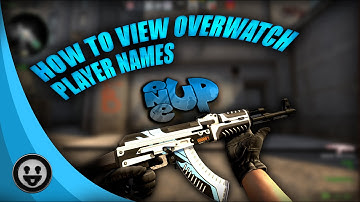 HOW TO SEE CSGO OVERWATCH PLAYER NAMES!! CSGO CONSOLE TRICK