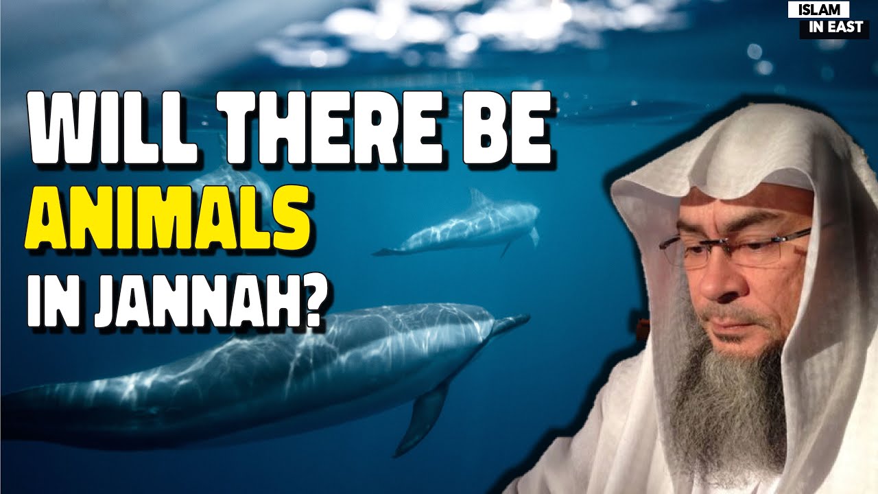 Will There Be Animals In Jannah? | Sheikh Assim Al Hakeem