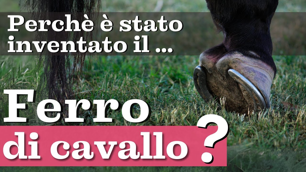 Perché sono nati i FERRI DI CAVALLO?🐎🤔 - YouTube