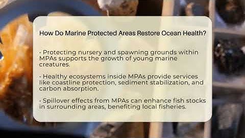How Do Marine Protected Areas Restore Ocean Health? - Earth Science Answers