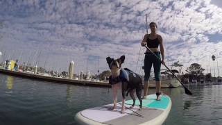 2017 Boardworks Rukus 10'6 SUP featuring Bombshell construction