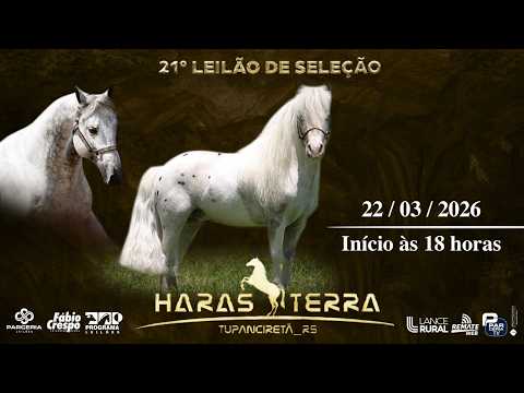 21ª LEILÃO DE SELEÇÃO HARAS TERRA