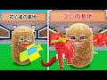 ストロベリーエレファントだけを使って初心者からプロになるブレインロットを盗むロブロックス (Roblox)