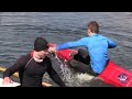 Bamboo paddling - kayak training