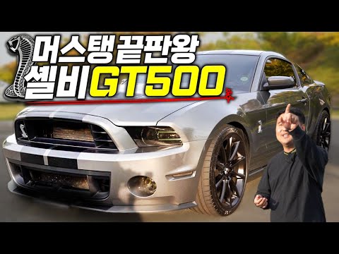 <strong>머스탱</strong> 끝판왕! 600마력 <strong>포드</strong> <strong>머스탱</strong> 500GT 쉘비! 드디어 타 봤습니다!