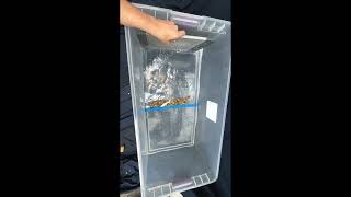 4.3 Lesson 3 Wave Bin- No Shore Whole Group