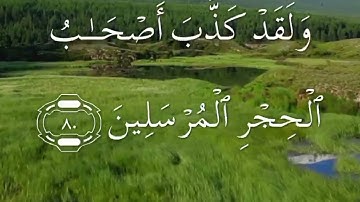 سورة الحجر صفحة ٢٦٦ مكتوبة مكررة سعد الغامدي