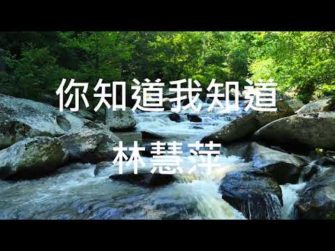 【經典國語歌】林慧萍 你知道我知道