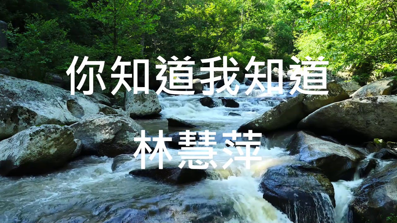 【經典國語歌】林慧萍 你知道我知道